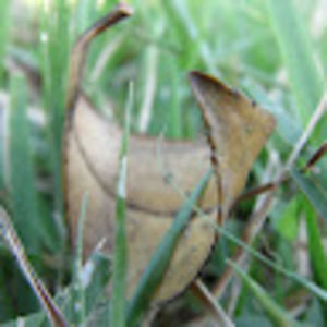 Meet your Posher, Frederick